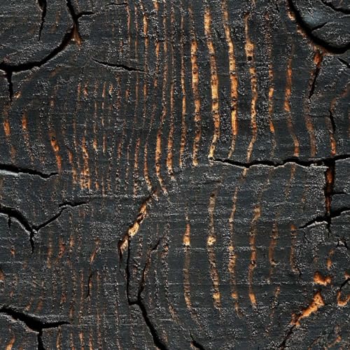 ARiXIaNg Wood Grain Peel and Stick Wallpaper Annual Rings Contact Paper with Waterproof Stain-Resistant Surface for Boys Girls Teen Bedroom Living Room Kitchen 17.3x236