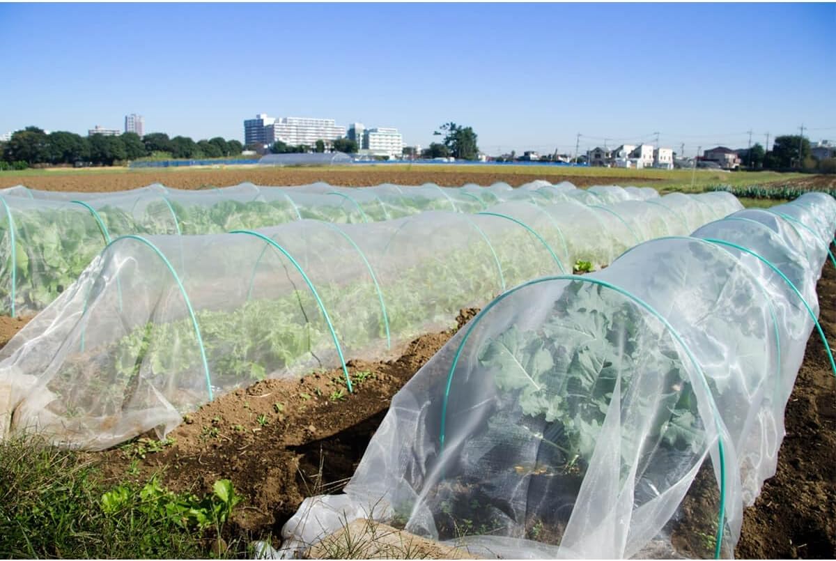 Garden White Mosquito Bug Netting - 10Ft x 33Ft Insect Plant Cover Garden Netting Made of Nylon Protect Your Plant Vegetables