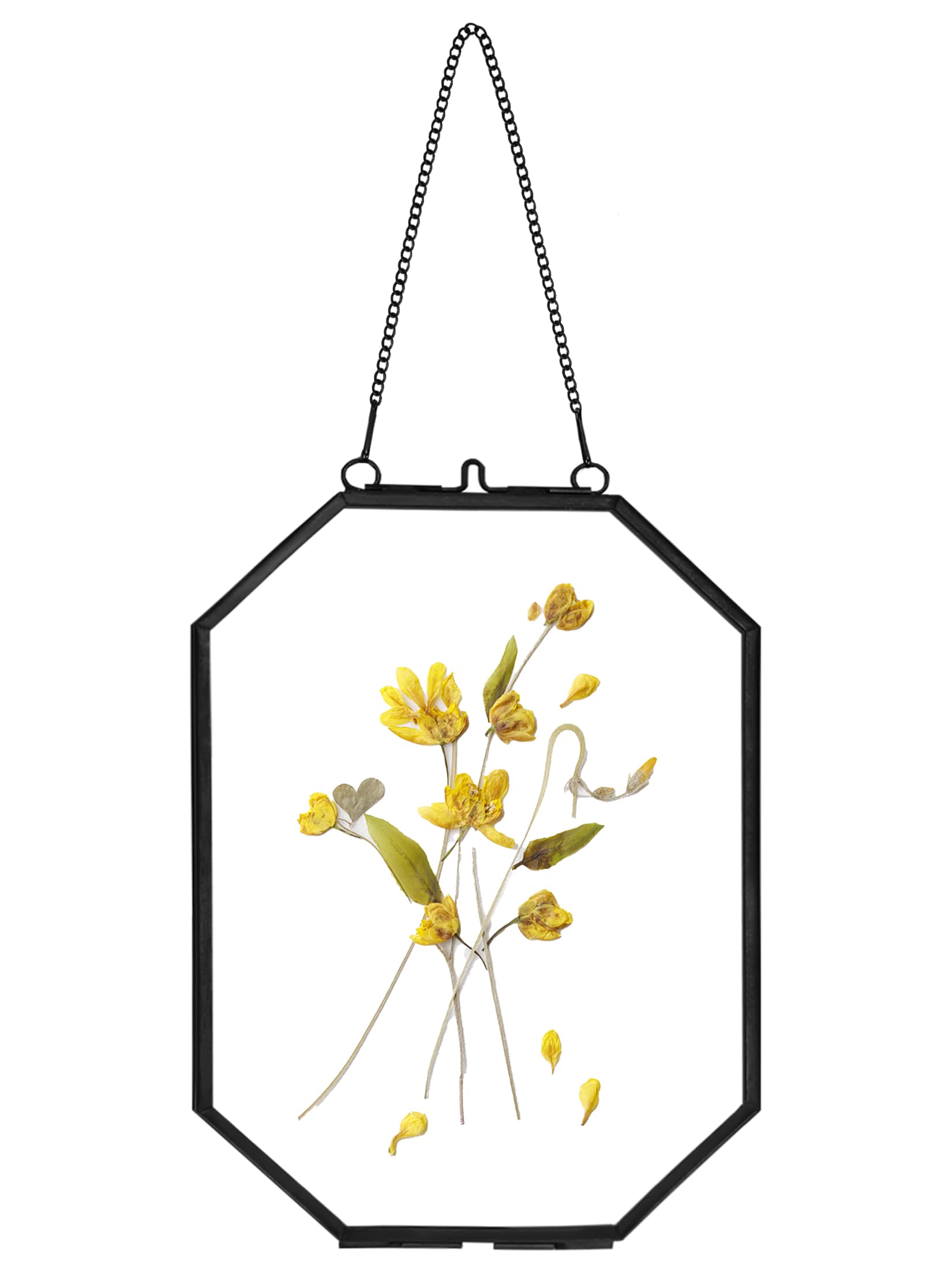 REDHUGO gepresste Blumenrahmen, schwebende Glasrahmen zur Präsentation von getrockneten Pflanzenspezimen, hängender Messing-Fotorahmen mit Kette, doppelt klares Glas, Vintage Wanddekoration, Achteck