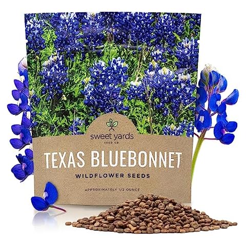 Texas Bluebonnet Wildflower Seeds - Bulk 1/2 Ounce Packet - Over 500 Native Seeds - Texas State Flower! Cover