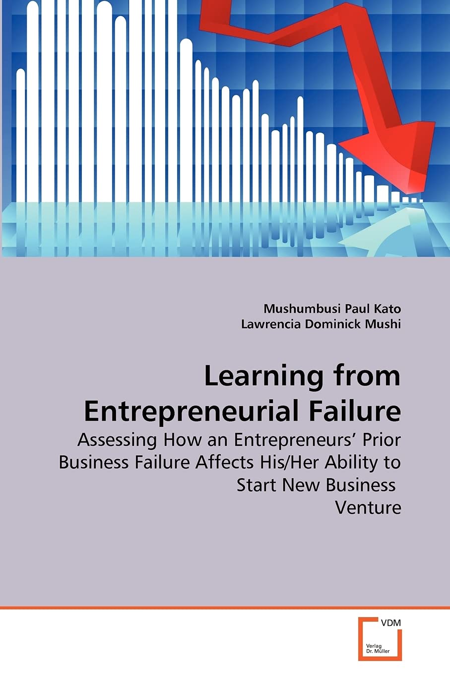 Learning from Entrepreneurial Failure: Assessing How an Entrepreneurs' Prior Business Failure Affects His/Her Ability to Start New Business Venture