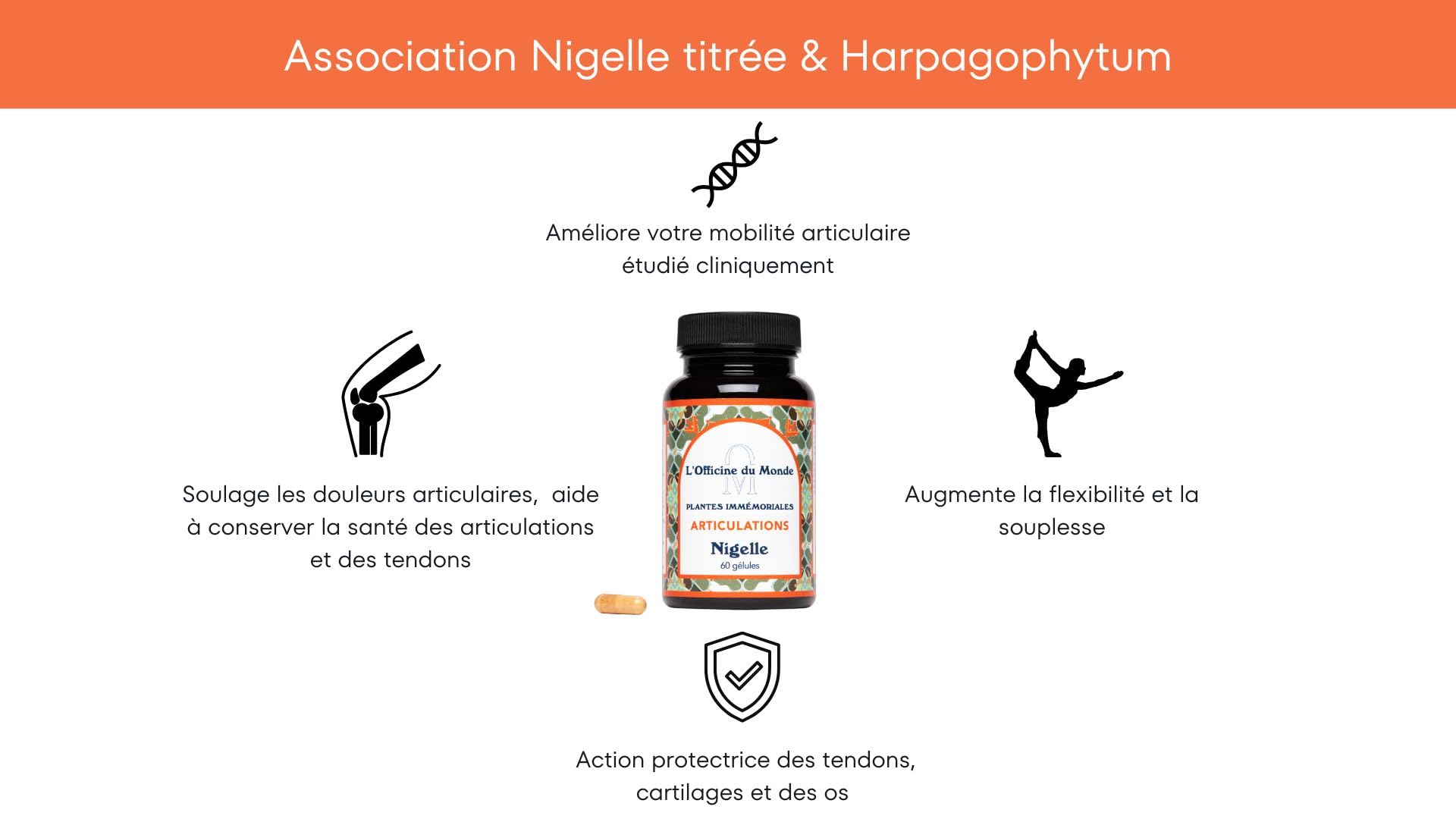 Articulations - Renforce la mobilité articulaire - Formulé par un Pharmacien - Gélules de Nigelle titrée à 20% de Thymoquinone, Harpagophytum, Manganèse et Cuivre - Cure de 2 mois - Vegan