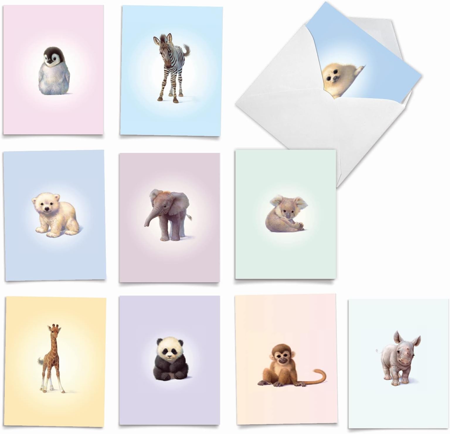 The Best Card Company Assorted Wildlife Watercolor Blank Animal Greeting Card Box Set - 10 Unique Notecards Designs + Envelopes, for Thank You, Invitations, More - Zoo Babies M6726OCB
