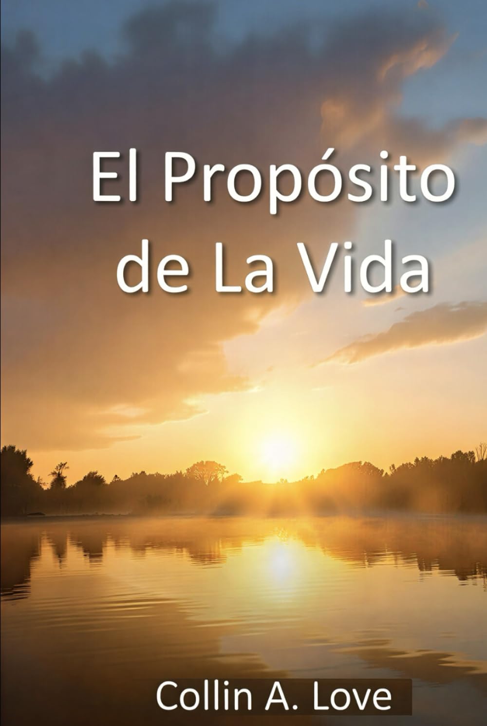 El Propósito de La Vida: The Purpose of Life (Spanish Translation)