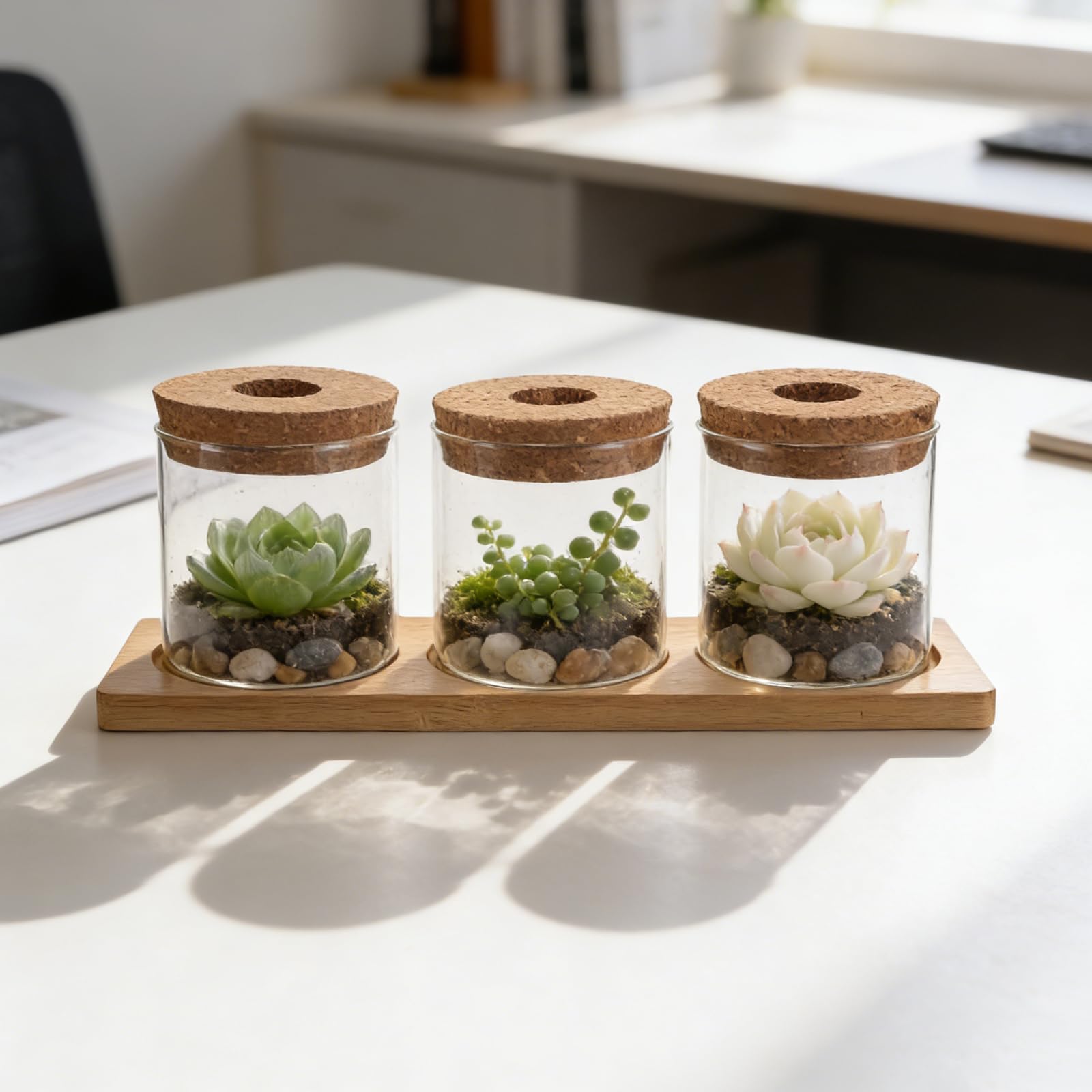 BESPORTBLE Pot Hydroponique en Verre 8x8 Cm avec Couvercle Perforé et Support Triple, Vase de Propagation d'eau pour Succulentes, Terrarium de Jardin D'intérieur, Station de Bouturage