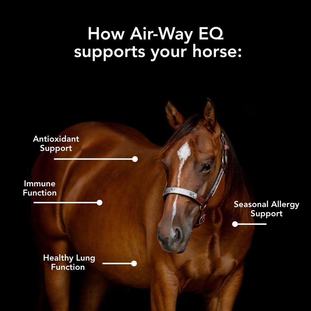 MVP Air-Way EQ Supports Healthy Lung Function and Seasonal Allergy Support in Horses, 5lb - 40 Servings — Amazon image 5