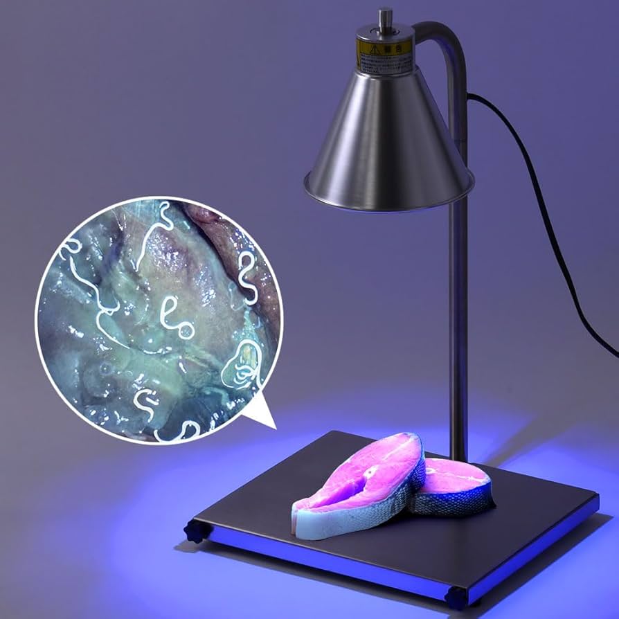 Amazon | seathestars アニサキスライト 波長365nm 固定型スタンド