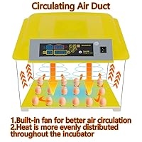 Vista 5 de CROSSDESIGN Incubadora digital automática de huevos con 48 huevos, criador de aves de corral, con control de temperatura y giro automático