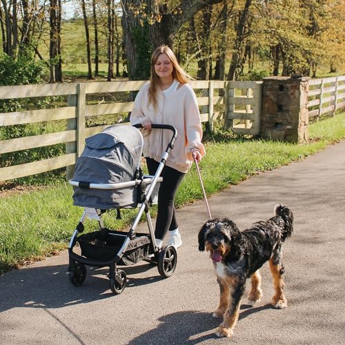 Mompush Meteor 2 Baby Stroller 2-in-1 with Bassinet Mode, Compatible with Infant Car Seat, Adapter Included - Stable Bassinet Stroller Combo, Full-Size Baby Strollers for Family Outings - Image 7
