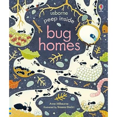 Peep Inside Bug Homes