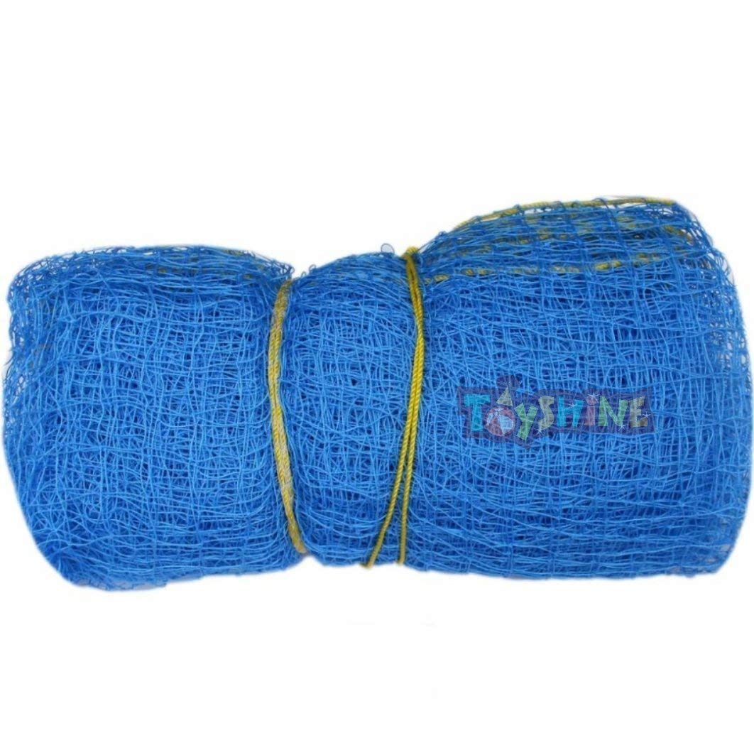 Buy Toyshine Cricket Net for Practice, 60 feet x10 feet Size, ROOF NOT Included Blue Color