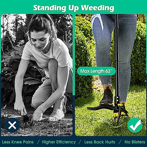 Lilyvane CHUCAOJIA-MSH2.0 Weed Puller With Long Handle- 63Inch thumb #2