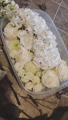 ubuy العراق