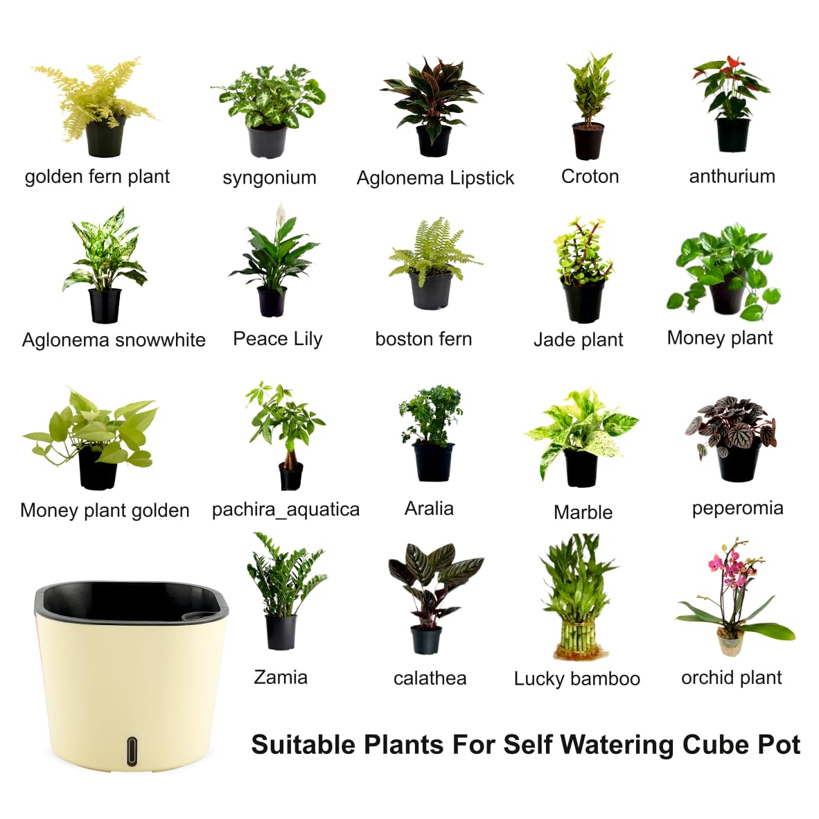 GARDENCIA Self Watering Pots - Modern Plant Cachepots -6 GARDENCIA Self Watering Pots - Modern Plant Cachepots -6