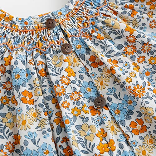 Image of Curipeer Toddler Girls Long Sleeve Shirt, Smocked Blouse, 6M-6Years