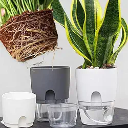 1/2 vasos de flores autoirrigáveis, vasos autoirrigáveis para plantas de interior, vasos de plástico com corda de algodão absorvente (branco e cinza)