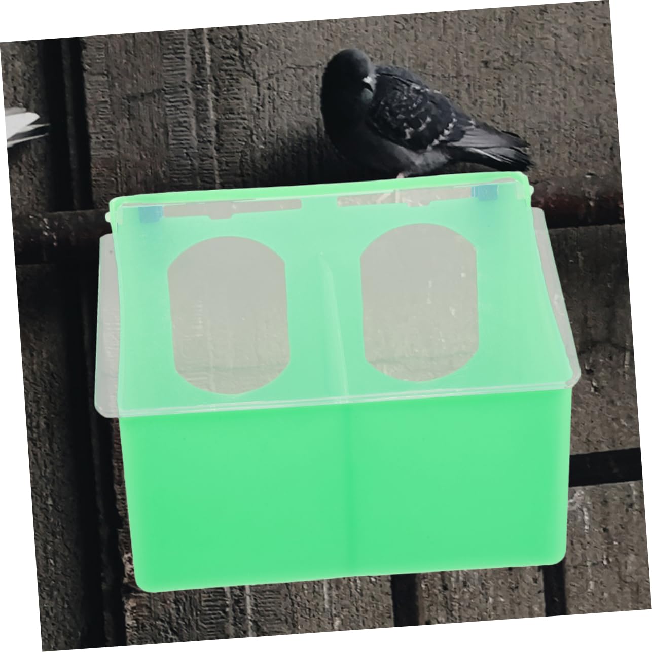 Mangiatoia per Uccelli a Due Fori, 3 Pezzi, Plastico Verde