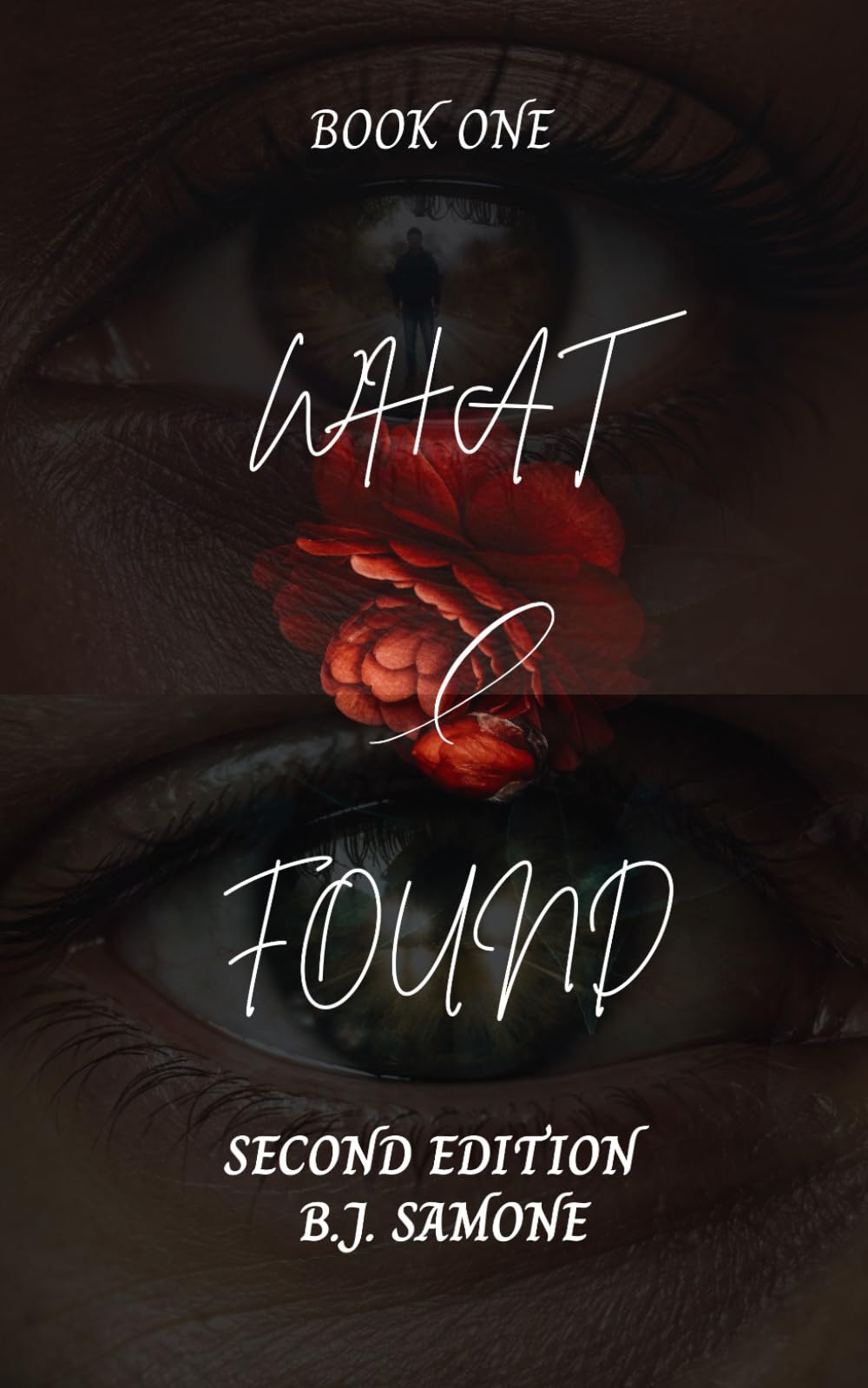 What I Found (Second Edition): A Slow-Burn Romance