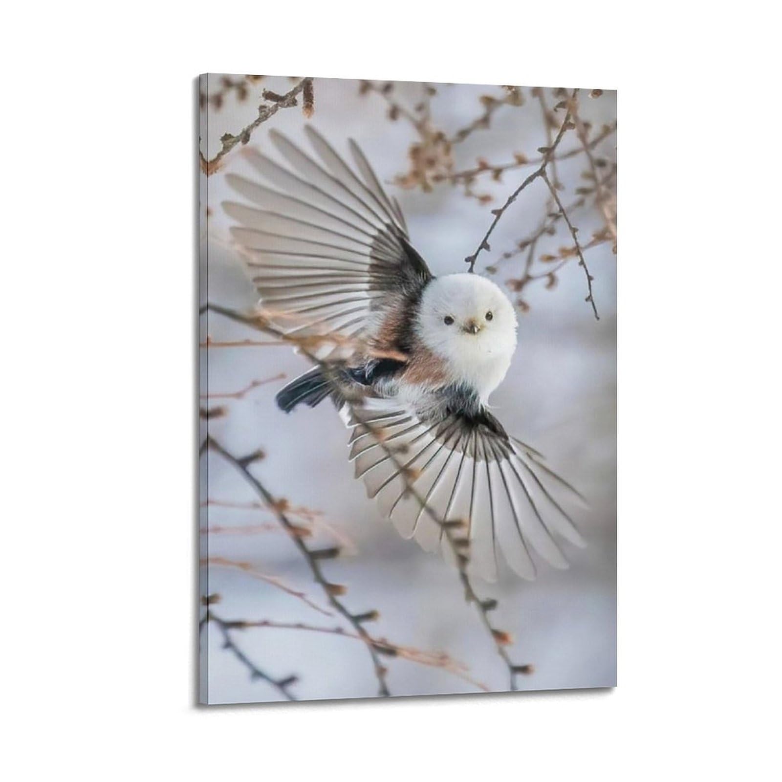 Poster mésange à queue allongée ZHOUKEG 20x30 cm pour déco murale - 6