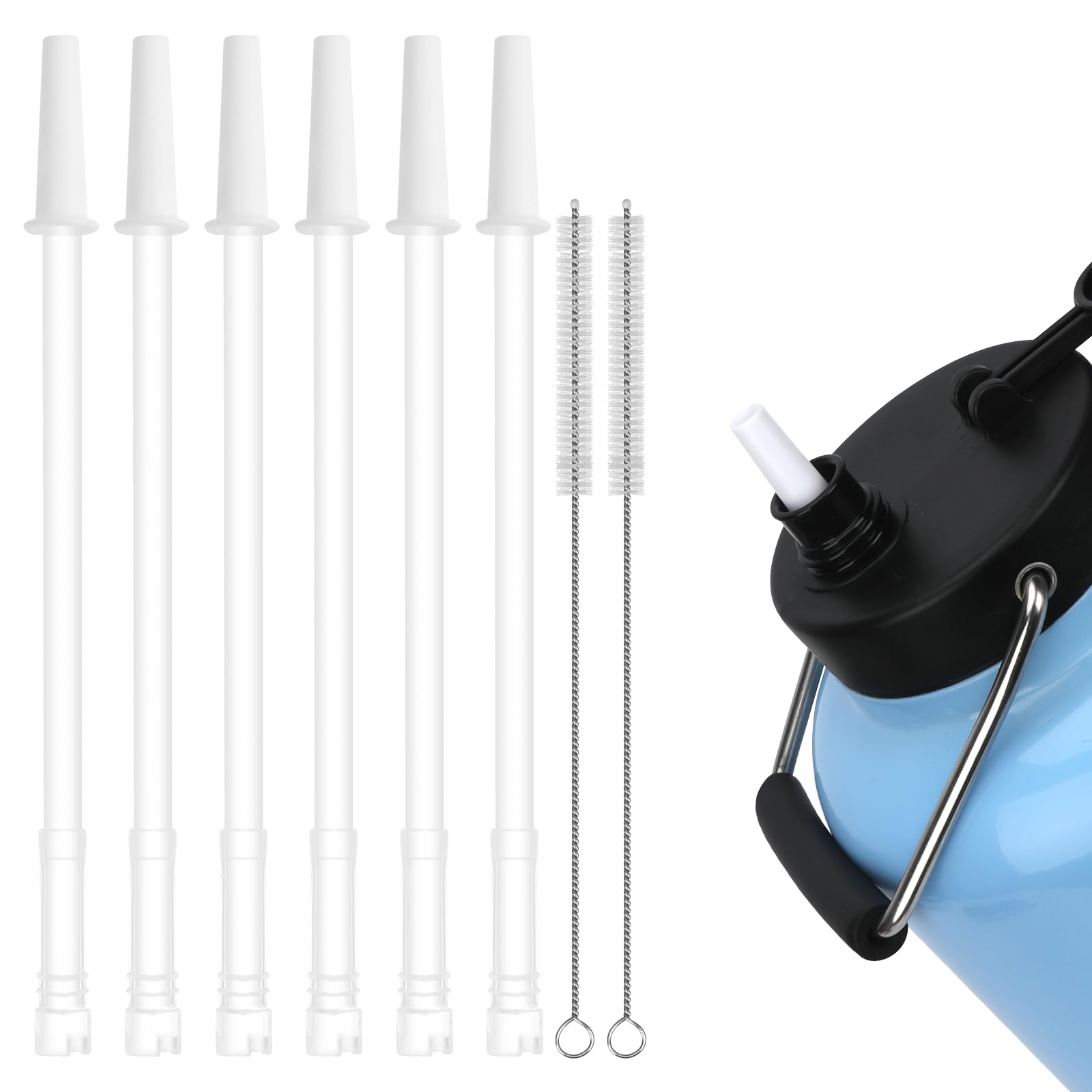 Pailles pour carafe RTIC 3.8L lot de 6 avec brosses de nettoyage