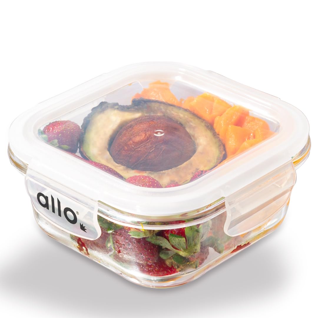 Allo Food Safe Borosilicate Glass Containers with Lids, 450°C Oven Microwave Safe Containers, High Borosilicate Meal Prep Borosilicate Glass Food Storage Containers for Kitchen, 550ml x 1, square (B0CYT5R5GH) Amazon Price History, Amazon Price Tracker