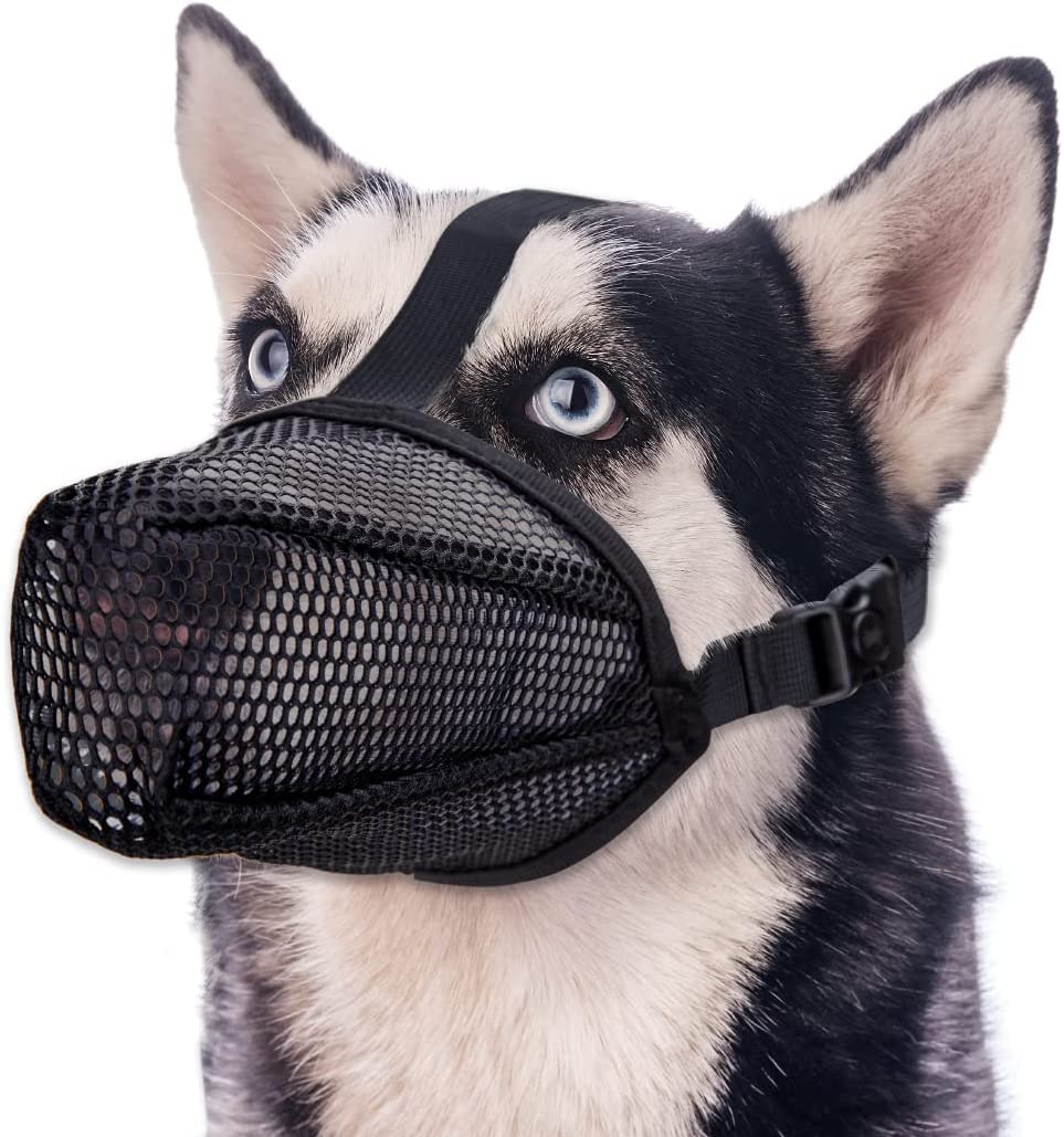 Museruola per Cani Con Rete Arrotondata, Traspirante e Regolabile - per Cani di Taglia Piccola, Media e Grande, Taglia M