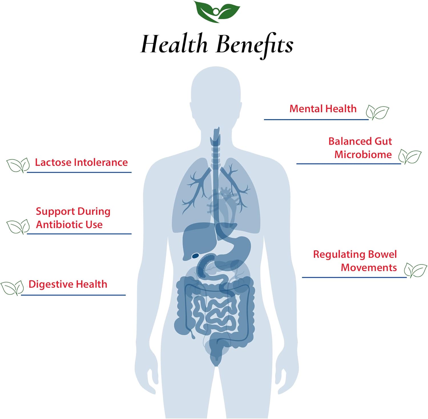 Foods For Gut Lactobacillus Acidophilus Probiotic Powder 200 Billion cfu's | Made in USA | No Additives | Direct from Manufacturer | No Third-Party Storage | Immune Support | 30 Grams (1.05 Oz) - Image 4