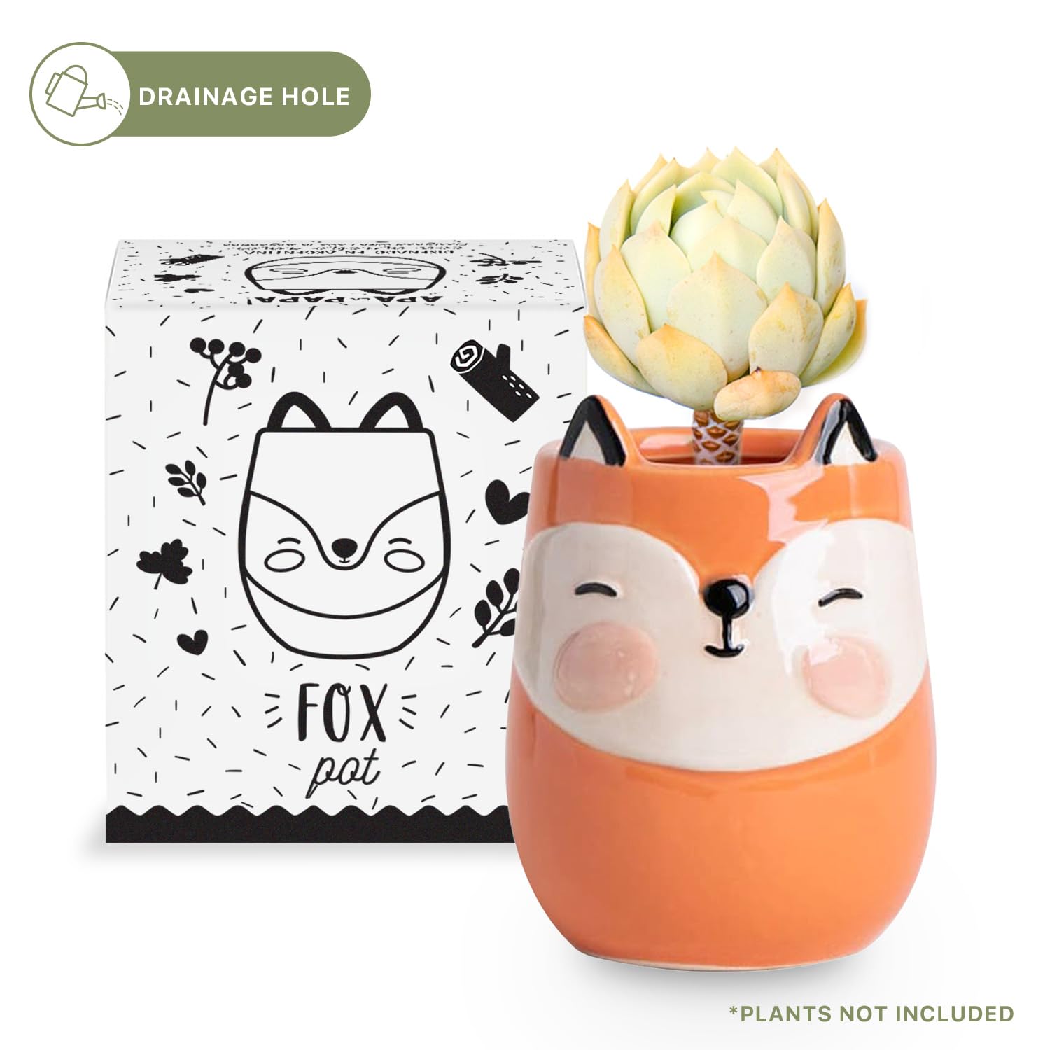 Amazon.com : Apa la Papa, Fox Animal Ceramic Planter for Indoor
