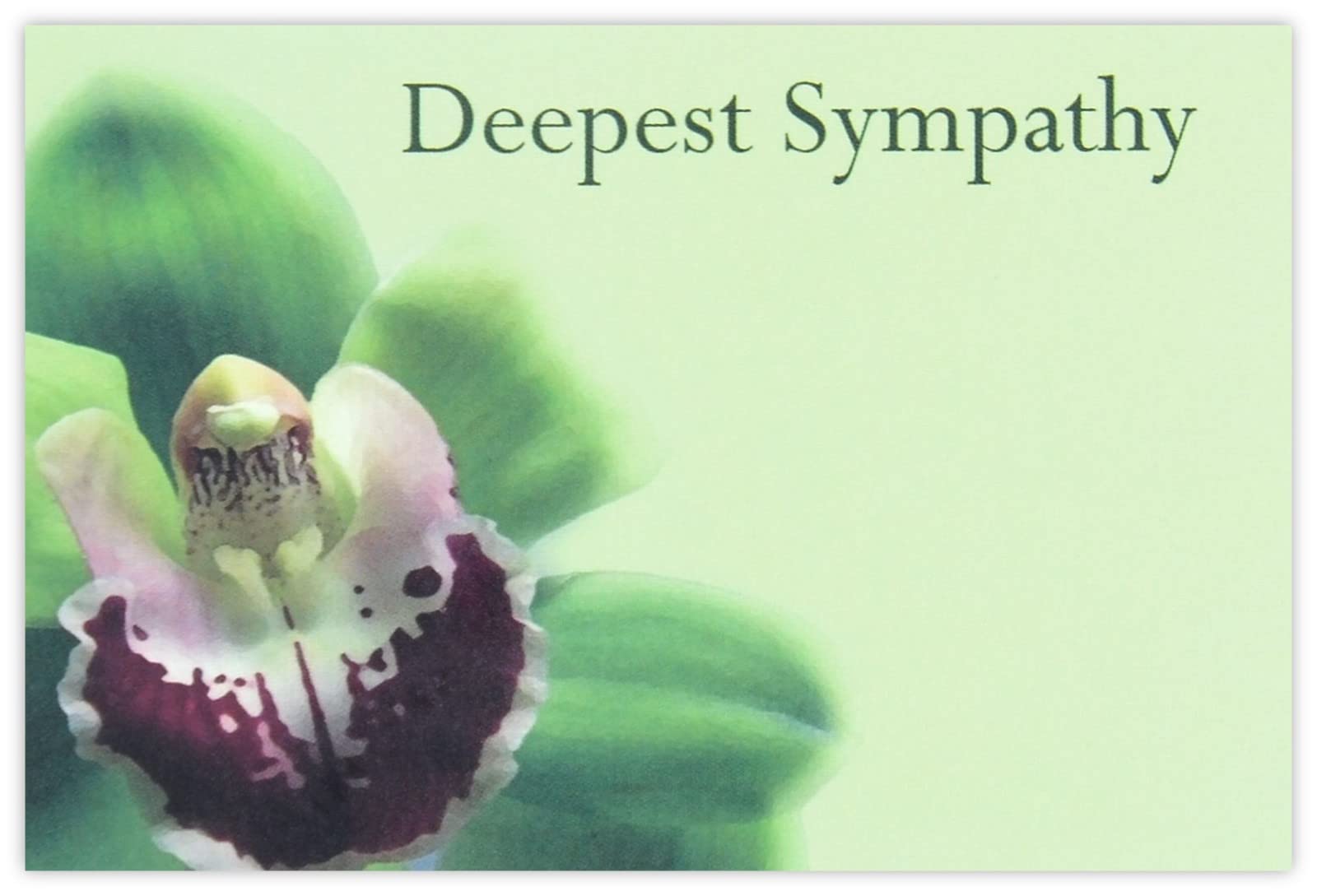 celloexpress Deepest Sympathy (Noble Orchid) Flower Message Cards - 60mm x 90mm - Bereavement Florist Card Sympathy Condolences Notes (Pack of 50) โ image 1