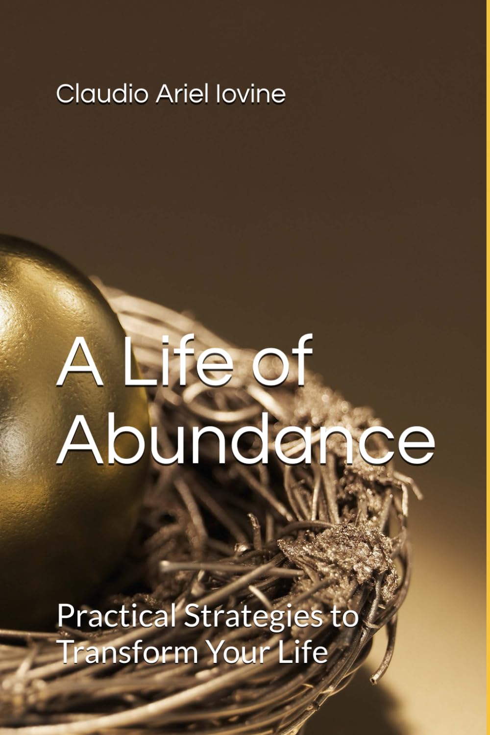 A Life of Abundance: Practical Strategies to Transform Your Life