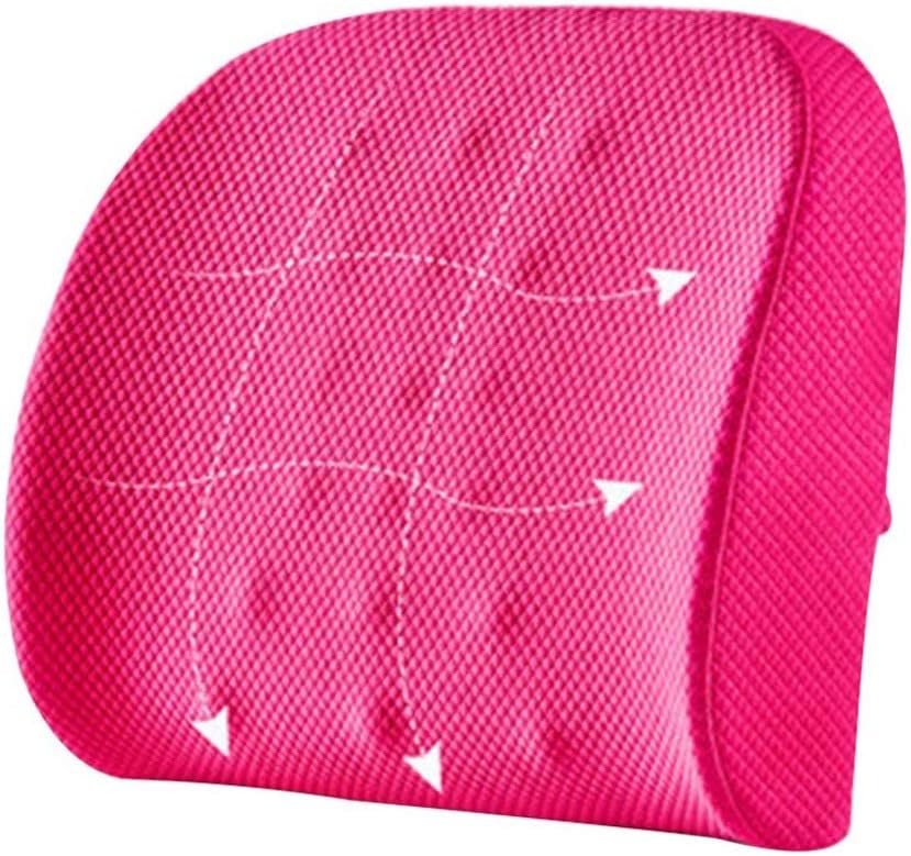 Lumbar Pillow - Memory Foam Back Cushion Lumbar Support Pillow for Office, Car and Chair, Standard(E)