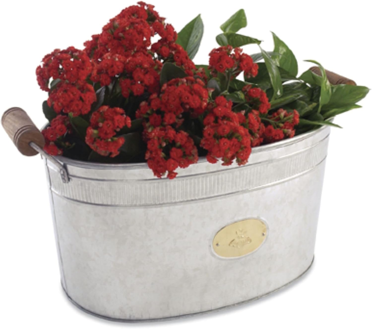 BEE Galvanized Silver Metal Bucket Beverage tubs Parties Large ice Buckets Wood Handles Celebration Cheers Fireplace Egifthome Item EH12868 22" L x 12" W x 10" H, Bucket 18" Long Handle 22"