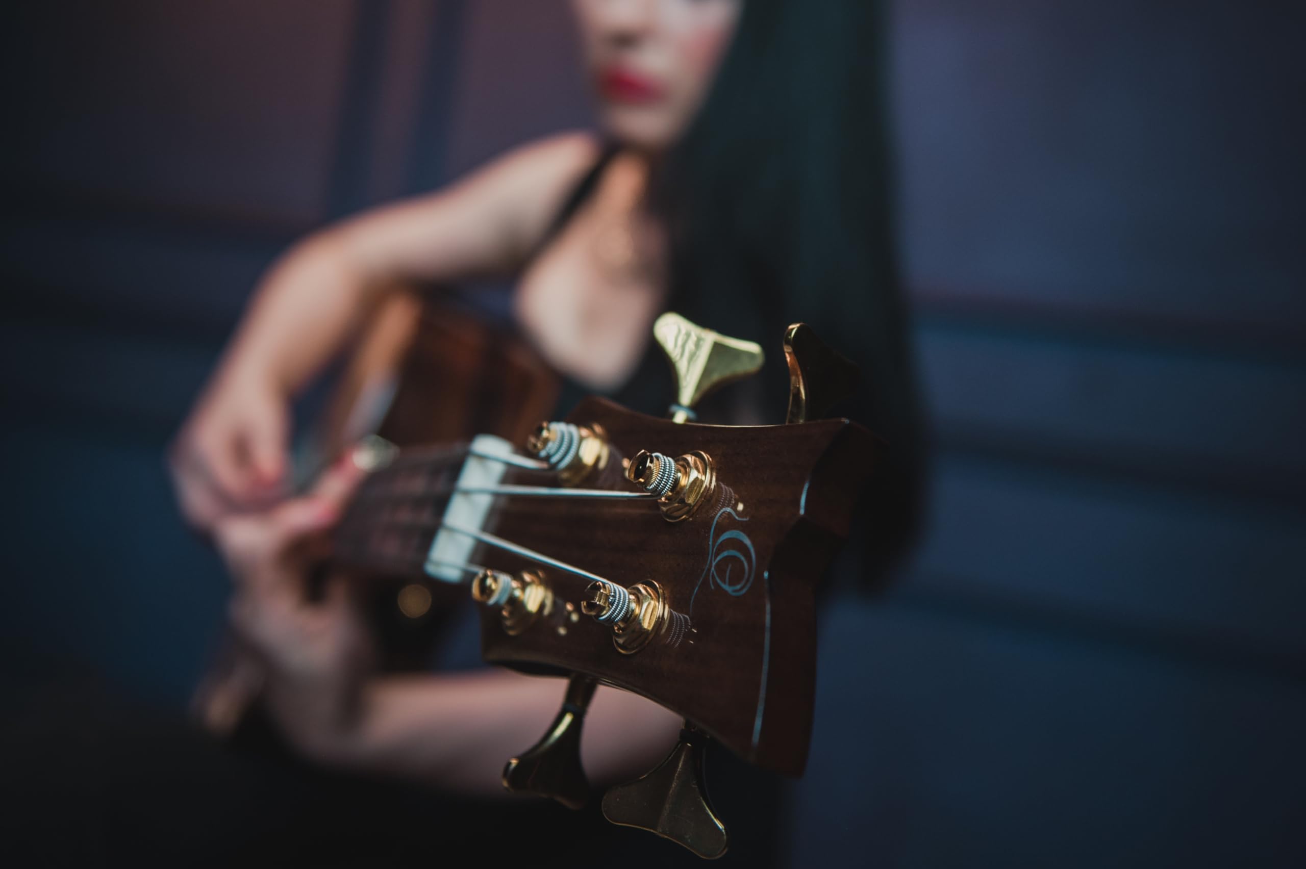 Ortega Guitars Bass Elektro-Akustisch 4-Saitig – Medium Scale, mit Cutaway, Armrest – The Private Room Series – Massive Alaska Fichte / Gestreiftes Ebenholz, Hochglanz Natur (STRIPEDSU.ACB)