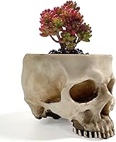 Vista 2 de RMM Halloween Decoration Retro Human Skull Head Flower Pot Planter Bed Box Container Replica Home Bar Décor,Clear