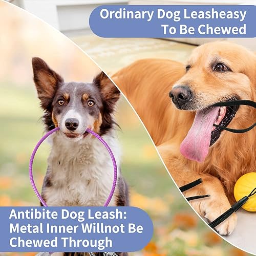 Miniatura 2 de Extensión de correa para perro a prueba de mordidas, soporte añadido a cualquier correa, collar y arnés, extensor de plomo para perros grandes y