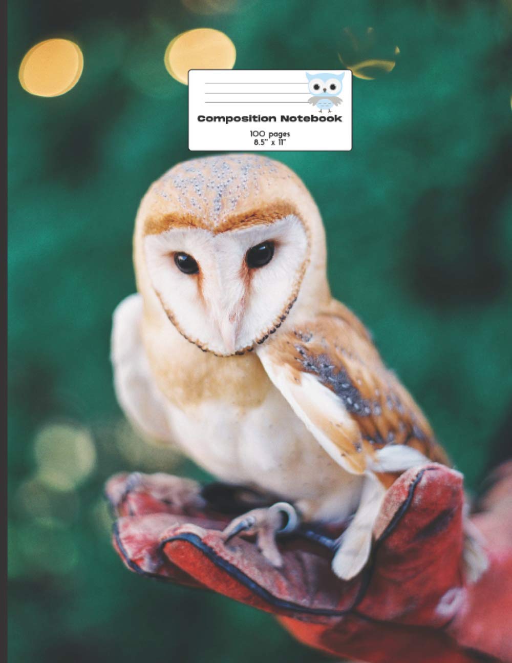 Composition Notebook College Ruled 8,5'' x 11'': Owl composition notebook, diary, journal or notes taking. College ruled, 100 pages for writting, perfect gift for those who love Owl