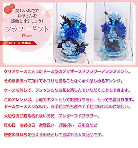 Amazon｜母の日 誕生日 カーネーション 幸せの象徴 永遠の幸福