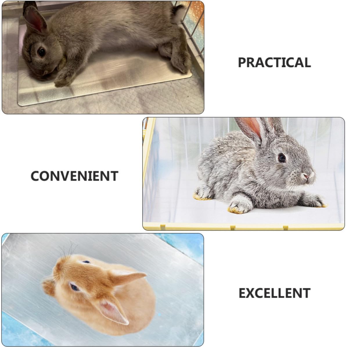 CLISPEED Wärmeableitende Kühlmatte aus Aluminium 50x30cm für Haustiere Schnell Kühlend geeignet für Meerschweinchen und Hamster