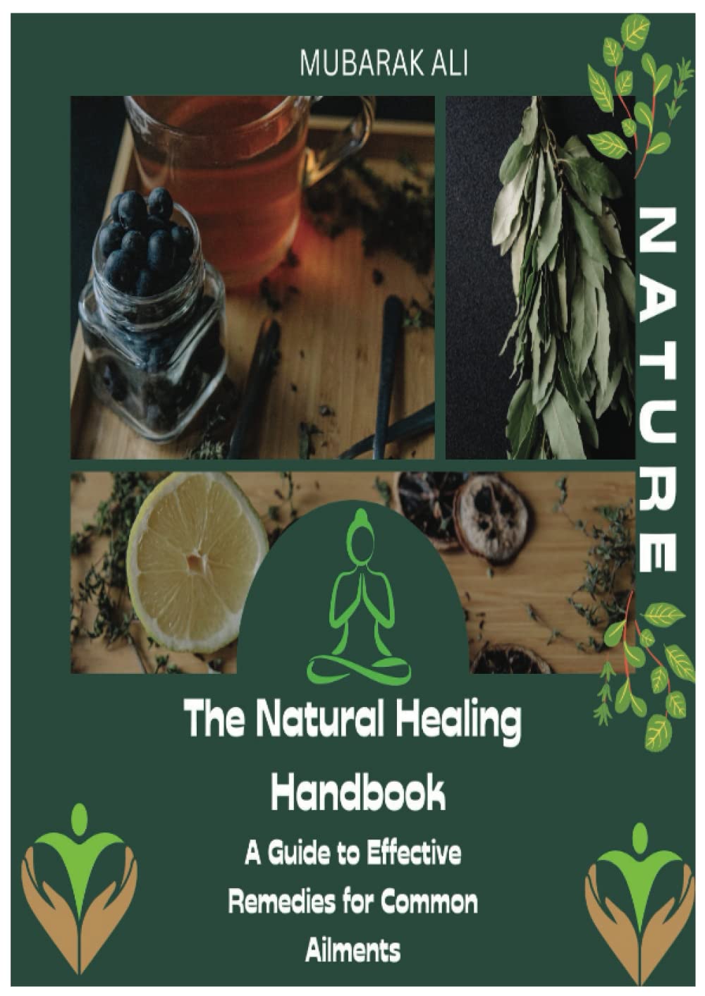 The Natural Healing Handbook: A Guide to Effective Remedies for Common Ailments