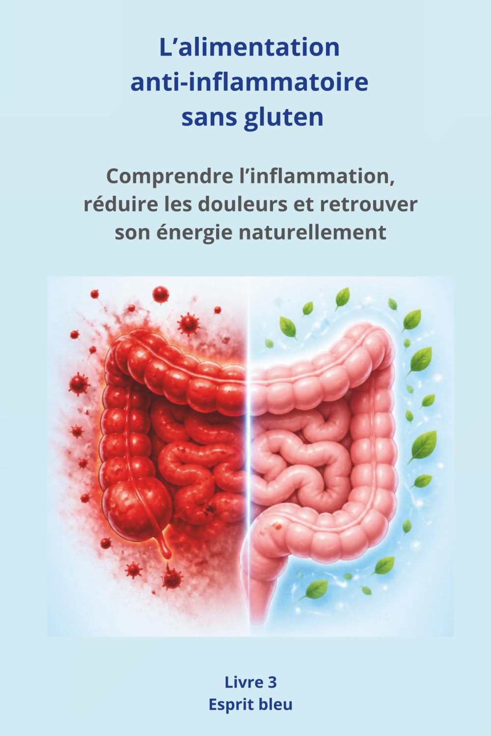 L’alimentation anti-inflammatoire sans gluten: Comprendre l’inflammation, réduire les douleurs et retrouver son énergie naturellement