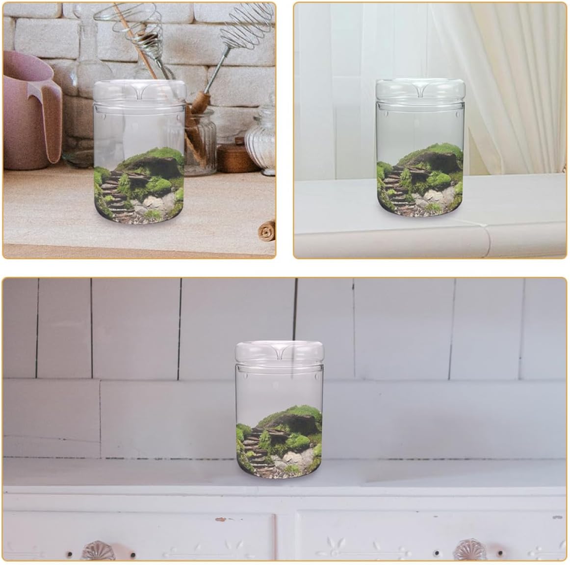 BESPORTBLE Glass Moss Terrarium Planter Vase with Lid for DIY Micro Landscape Gardening, Ecological Bottle 15X23Cm Decorative Plant Container for Home and Office