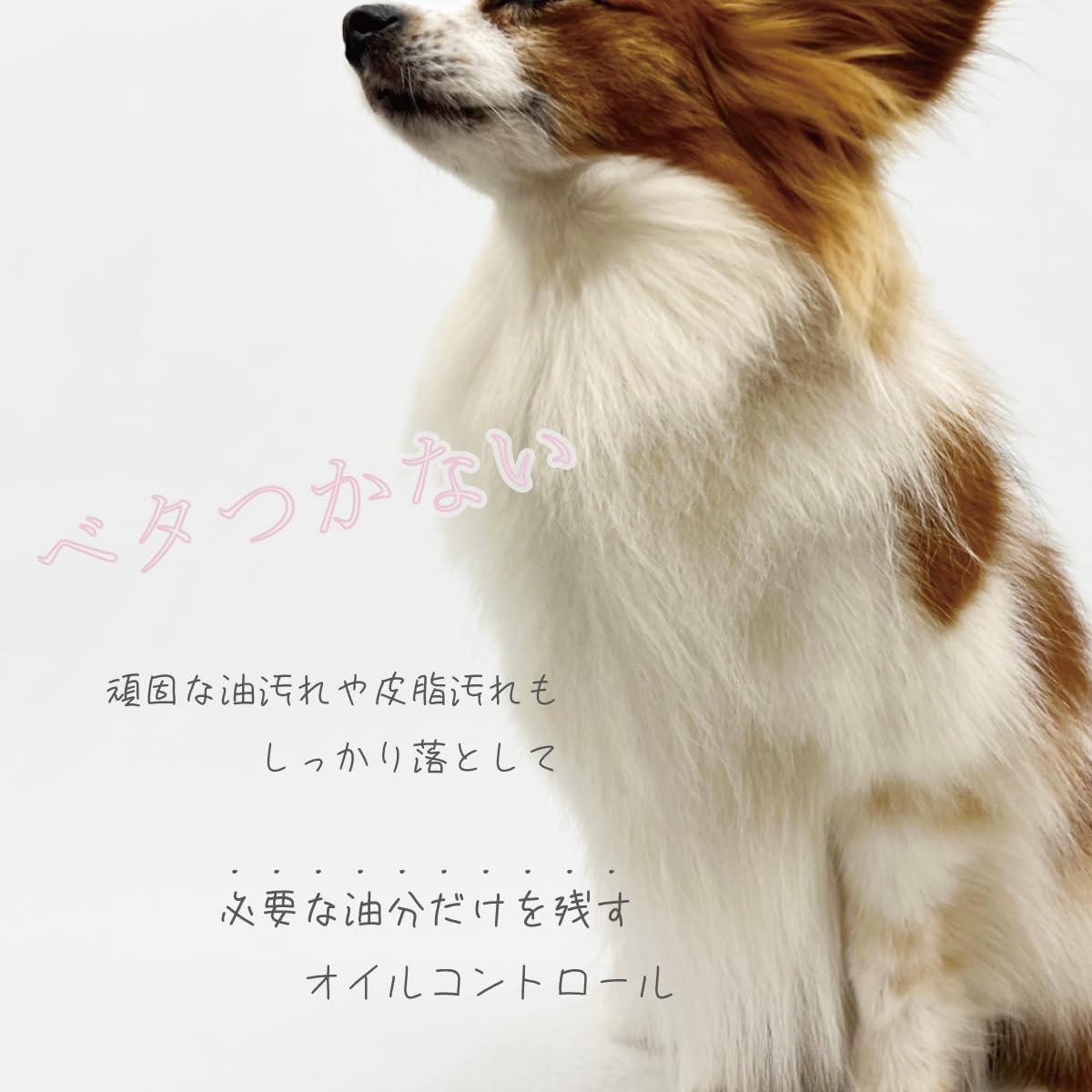 Amazon | 【アジル】オイリーコントロールシャンプー（犬・猫用）低