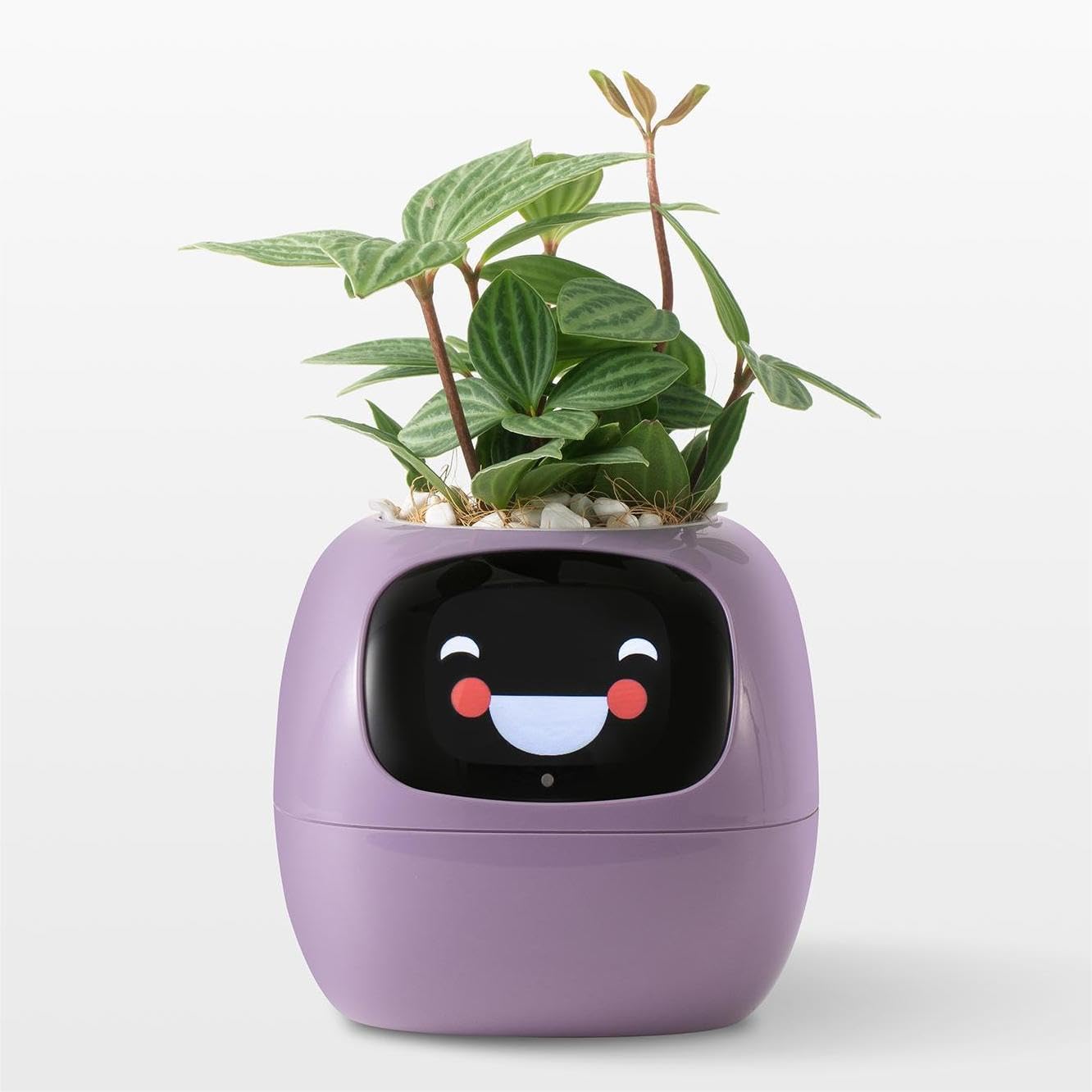 OUSEITECH Niedlicher Intelligenter Blumentopf, Interaktiver Blumentopf, Multifunktional, Intelligent, 10 cm Pflanzt?pfe F¨¹r Den Innenbereich, Geschenk, F¨¹r Sukkulenten und Andere (Lila)