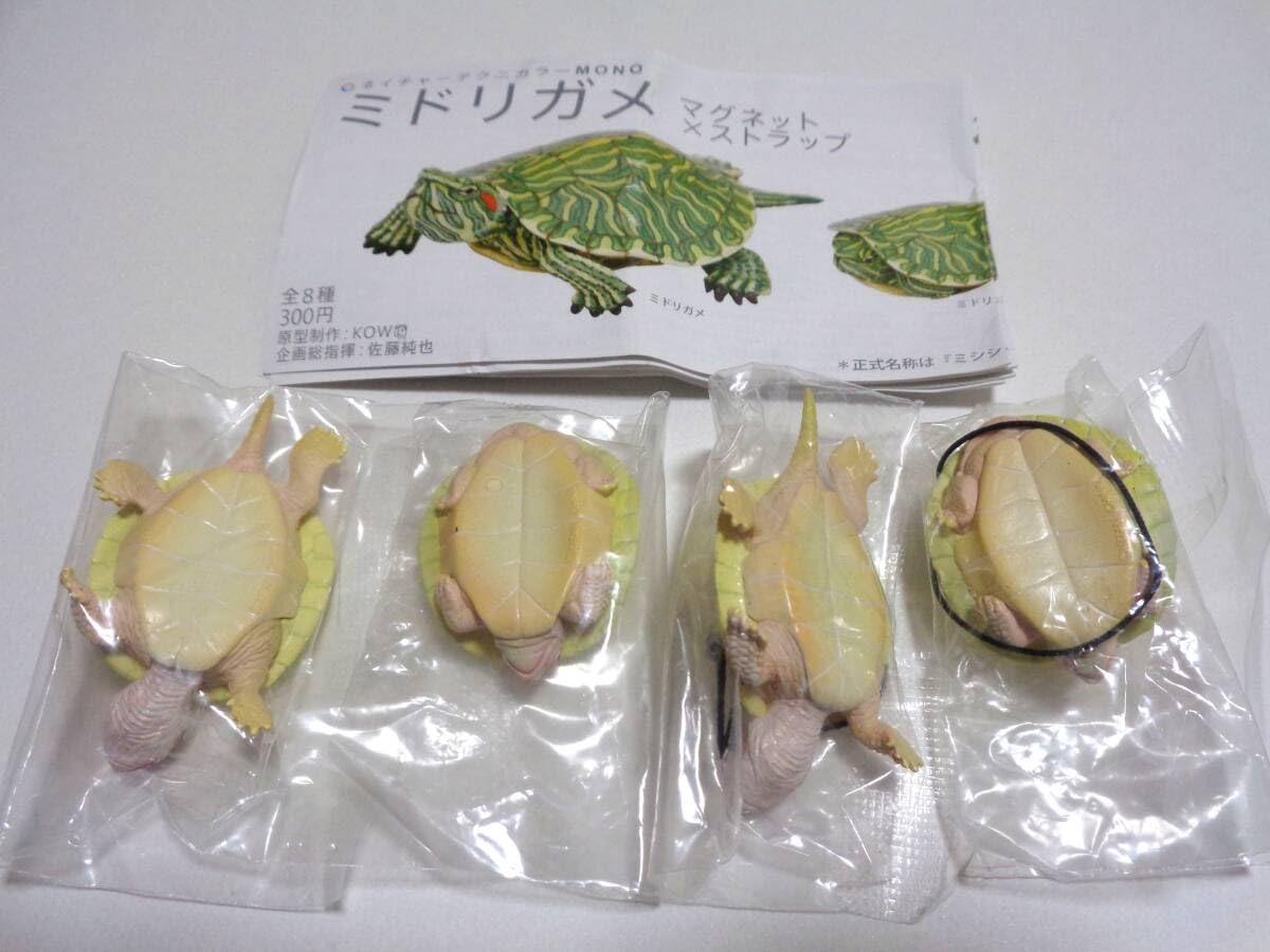 Amazon | ミドリガメ マグネット×ストラップ アルビノ4種セット