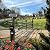 GHOST CONTROLS Solar Heavy-Duty Automatic Gate Opener Kit for Driveway Swing Gates with Long-Range Solar Gate Opener Remote - Model TSS1XP