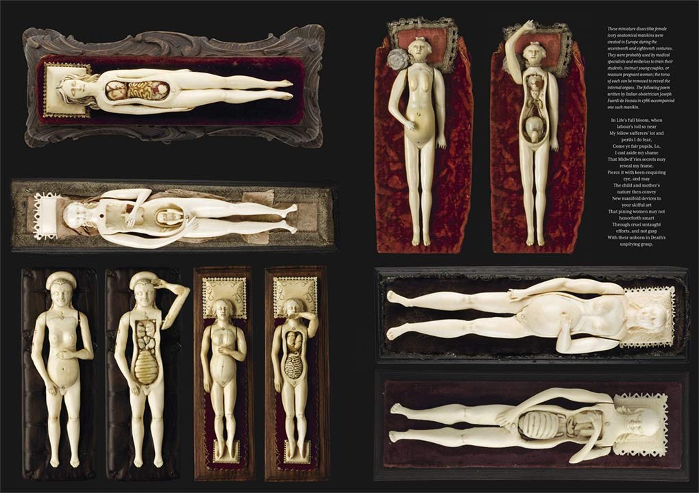The Anatomical Venus: Wax / Sex / God / Death