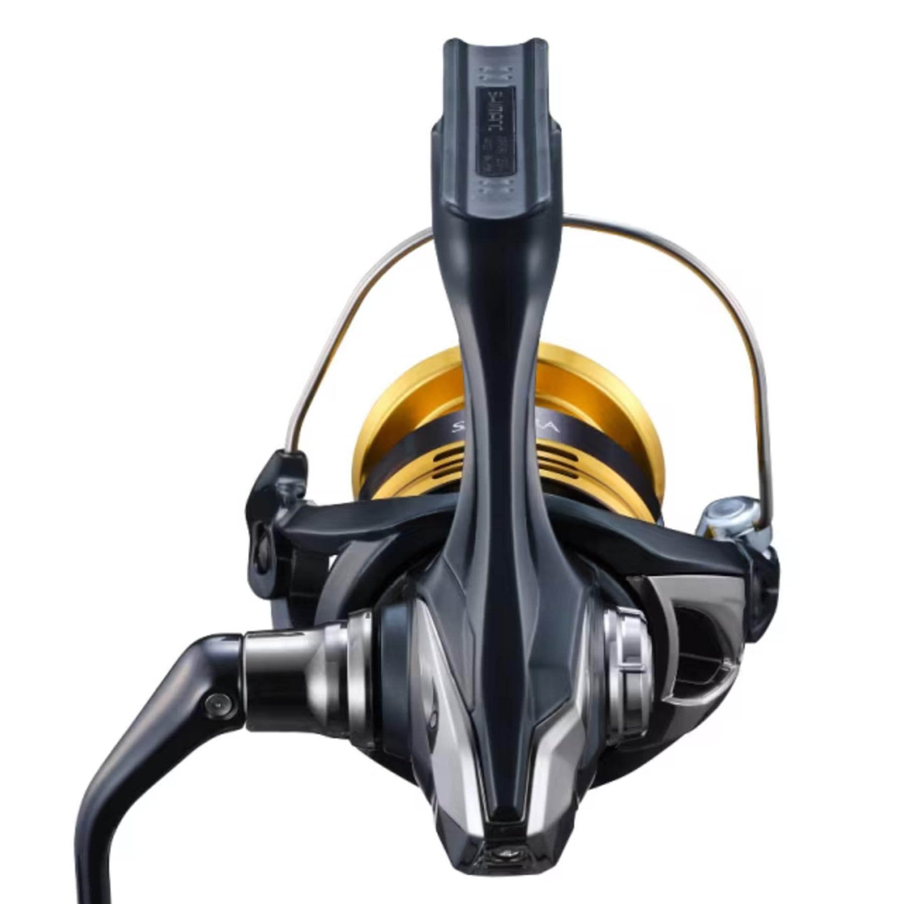 Amazon.com : Shimano 22 Sahara Fishing Reel Shipped from Japan