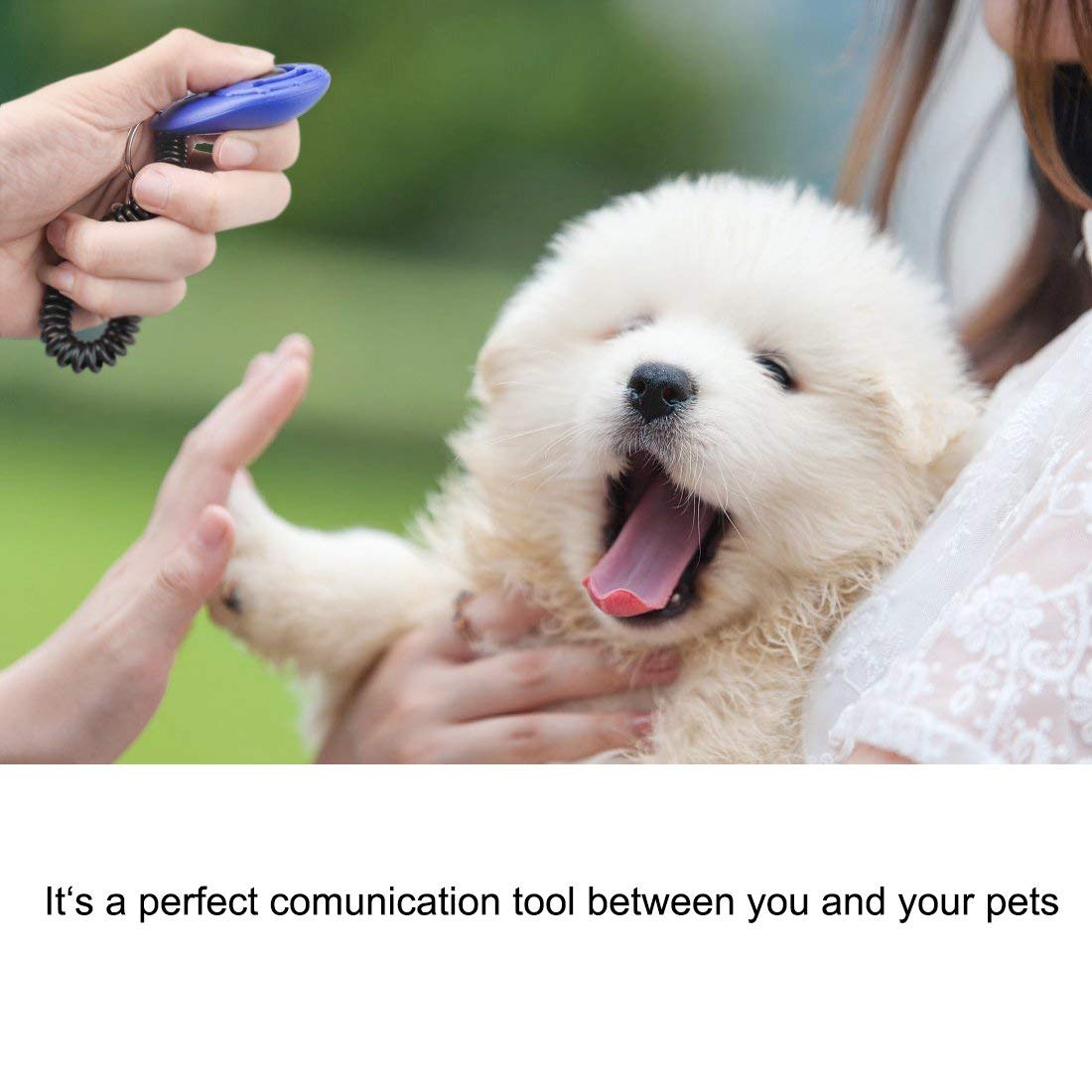 Sage Square Pet Training Clicker with Wrist Strap and Strap Hook for Dog/Cat/Kitten/Puppy/Bird (Blue)