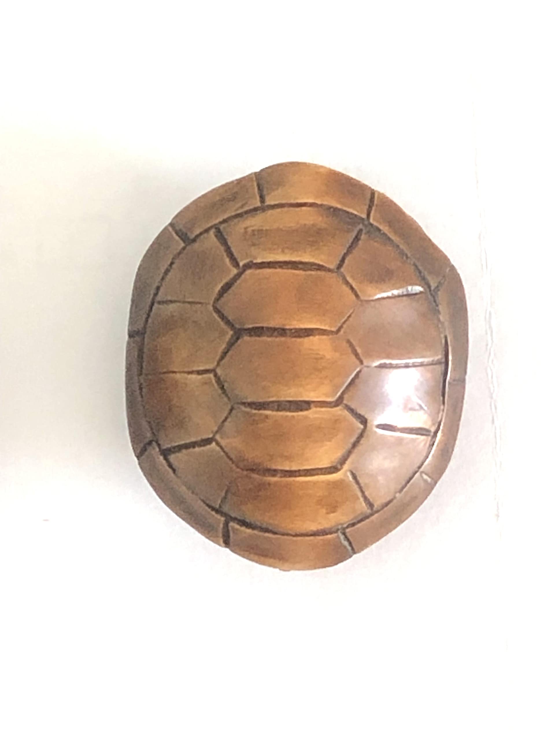 Artcore 2" Hand Carved Box Wood netsuke Turtle, Brown