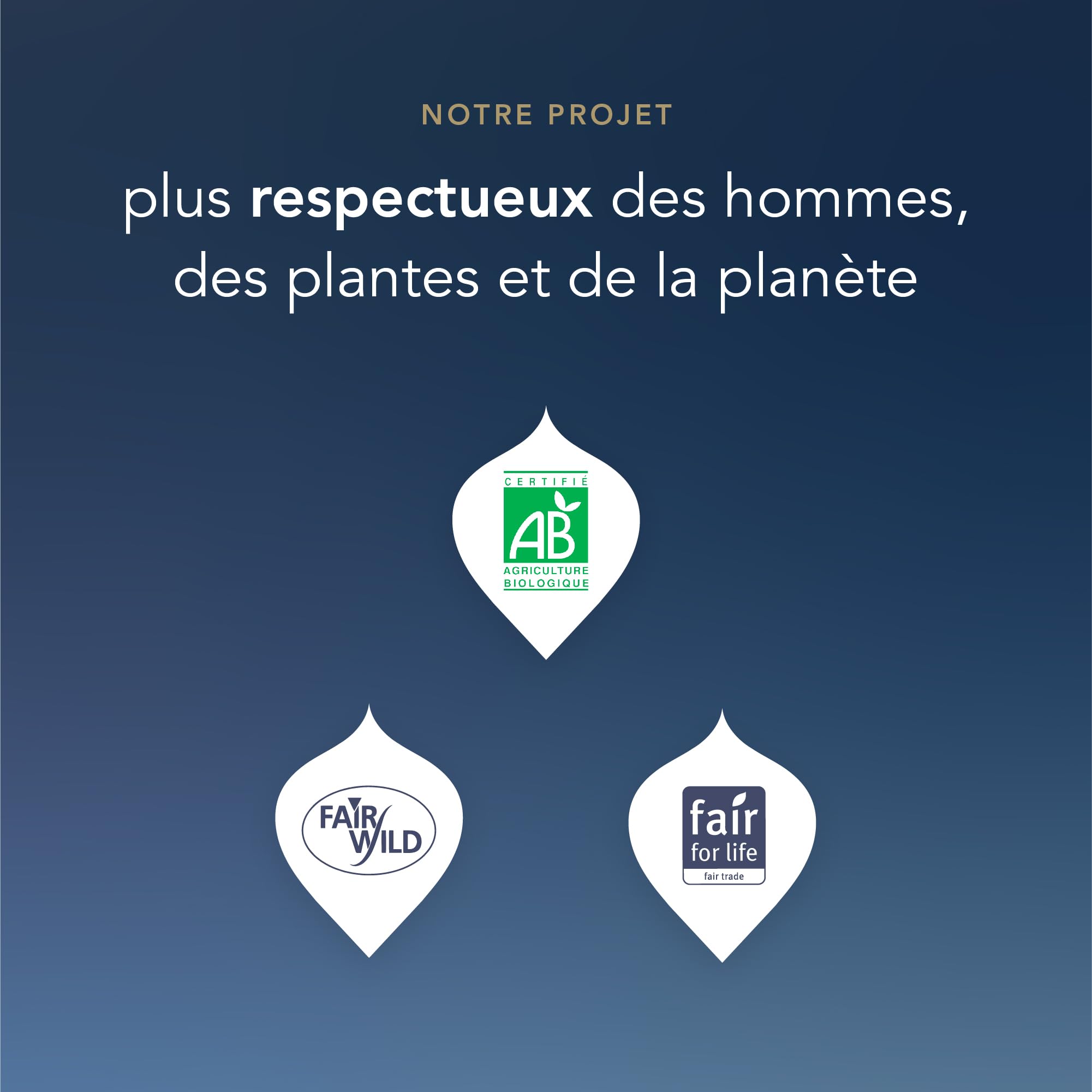 Coffret prestige,Idée Cadeau Femme et Homme, Coffret de Tisanes, Matcha, Gingembre, Miel, Menthe,Cadeau de Thé 100% bio Saint Valentin, Anniversaire, 6 Saveurs, 90 Sachets